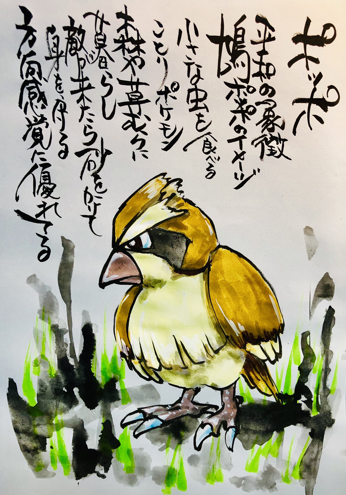 تويتر Aki Shimamoto ポケモン絵師休憩中エネルギーアートクリエーター على تويتر 筆ペンでポケモンを描く ポッポ 平和の象徴鳩ポッポのイメージ 小さな虫を食べることりポケモン 森や草むらに暮らし敵が来たら砂をかけて身を守る 方向感覚に優れてる ポケモン