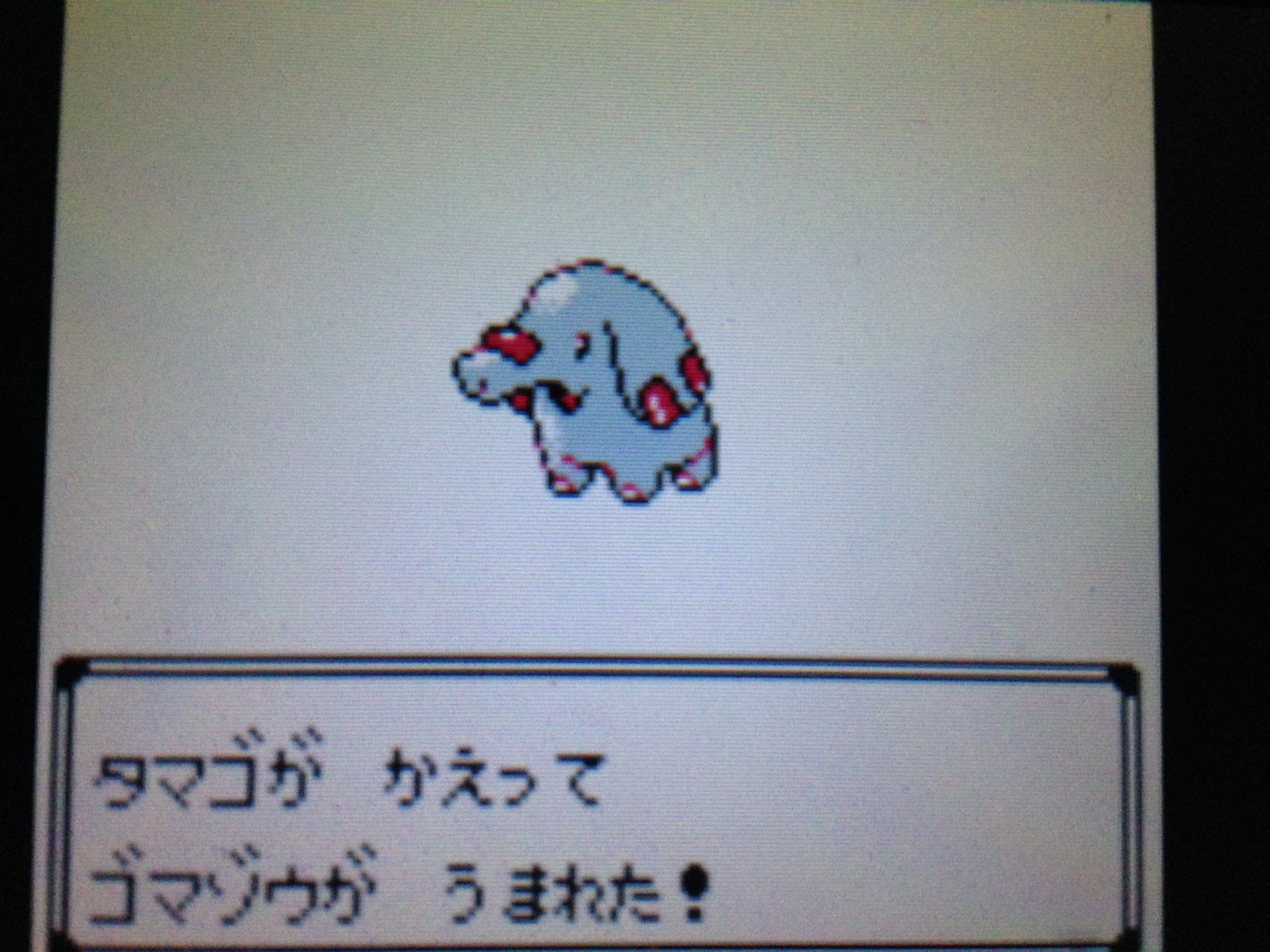 ぼっちを極めし緑茶 ゴマゾウ 色違いポケモン クリスタルvc T Co Qa9cpf3dtp Twitter