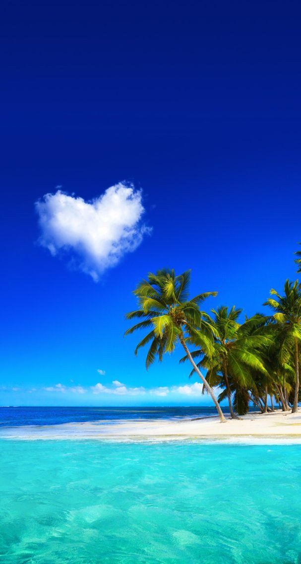 POPEYE38123862's tweet photo. ทะเล 🏝🌊🌊

🔁 รีก่อนนำไปใช้ด้วยนะคะ😚
ขอบคุณค่ะ 🙏
#wallpapers #wallpaper 
#แจกวอล #วอลเปเปอร์ #วอลเปเปอร์แจกฟรี #วอลเปเปอร์มือถือ #วอลเปเปอร์ไอโฟน #แจกวอลเปเปอร์ https://t.co/uqZcCqajx2