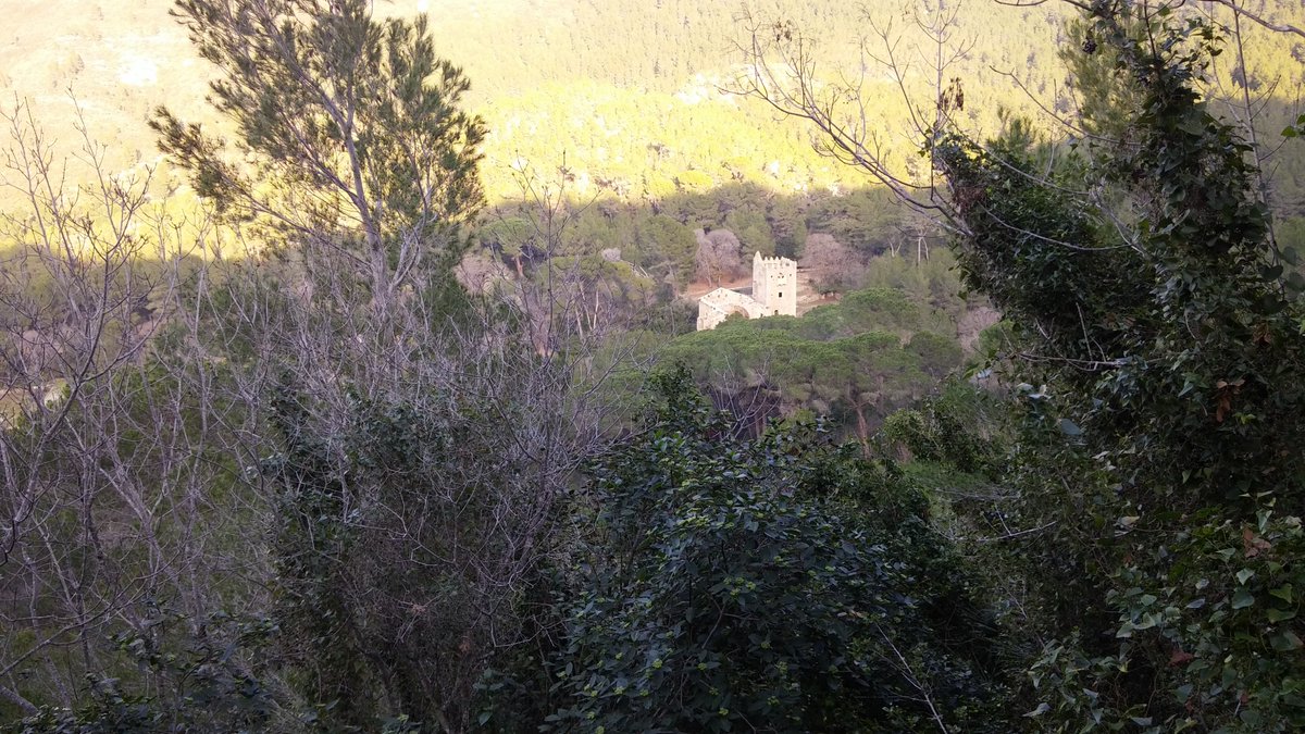 neus_mv's tweet photo. SL-CV 81 Senda botànica per la Vall de la Murta 🍃 https://t.co/eddyX6zmkh