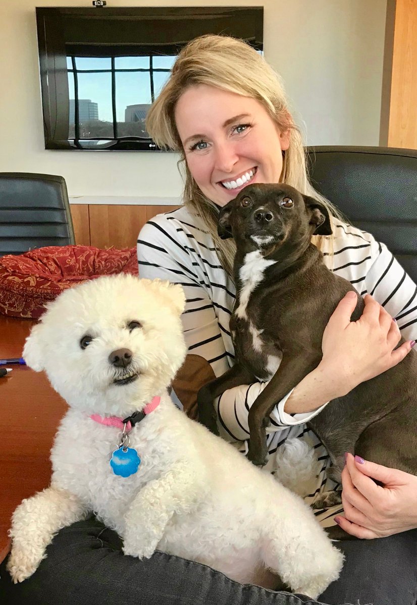 hck2's tweet photo. Pro-tip for getting your workplace #hustle back after the #holidays — puppies! They are great inspiration! #HCK2Life #HCK2OfficePups https://t.co/V5YWsPkDkH