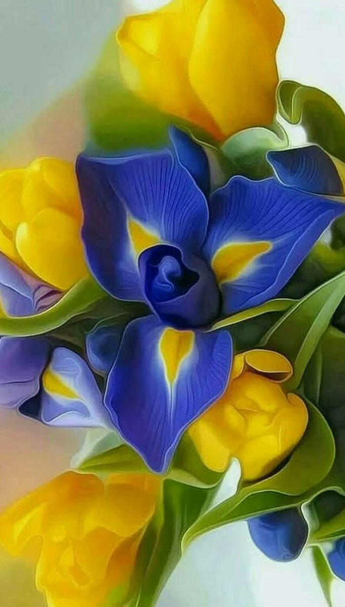 luthful7's tweet photo. 🎅💐 Thank You All My Dear Friends for Your Kindness,RT's, Likes, Mentions, Follows🌹 throughout the Year 💥I Wish You Good Health,Happiness,Prosperity 🌷💕 with Family and Friends 🙏 Happy Holidays 🍀 https://t.co/gSDMQN7JlB