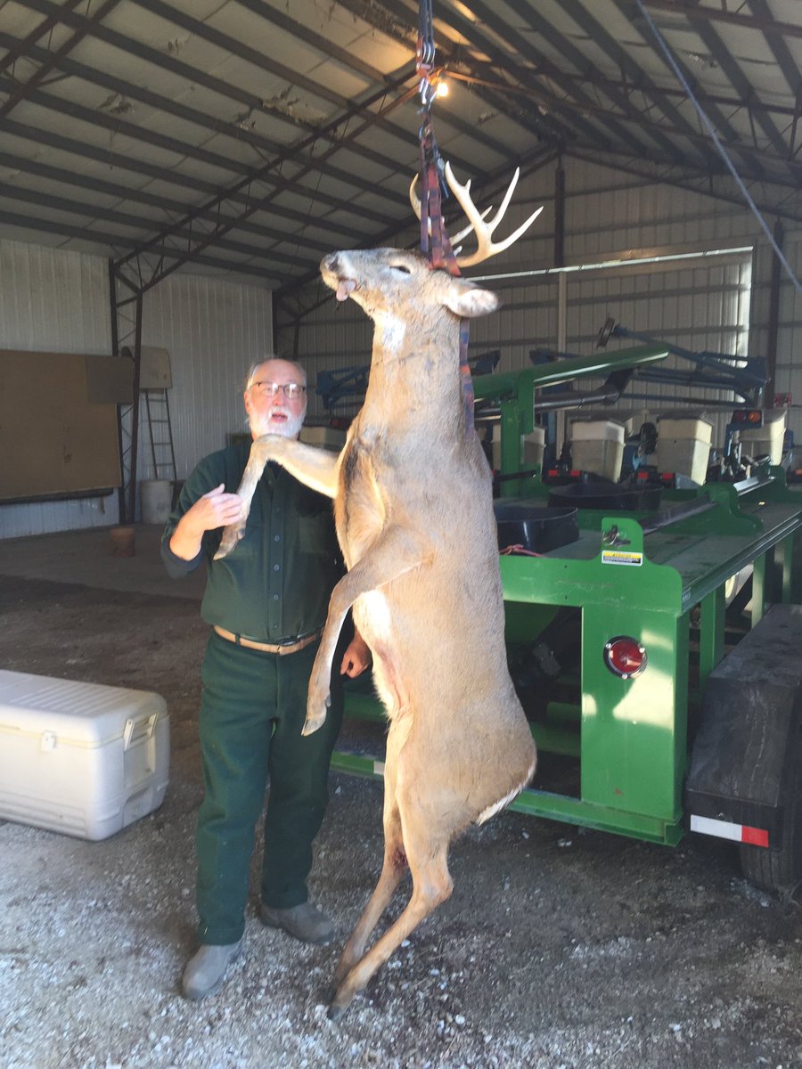 Friend of mine. Biggest “Bodied” whitetail I have ever seen in MS. 348 lbs live weight. Awesome!!