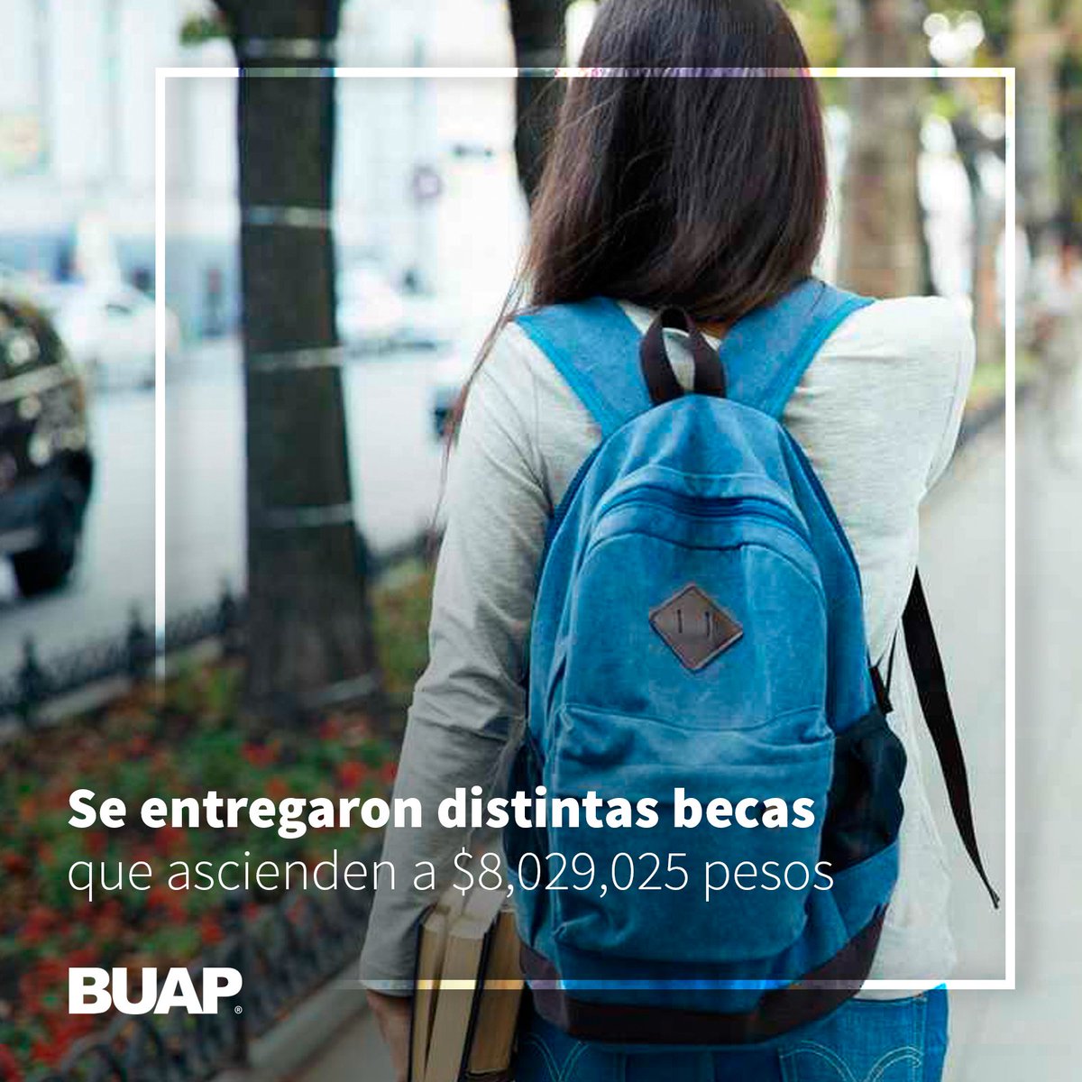 BUAPoficial's tweet photo. Porque la formación es muy importante, en 2018, la BUAP apoyó a estudiantes de posgrado con becas para el desarrollo de habilidades académicas. #BUAP2018 https://t.co/QCxCclJLYH