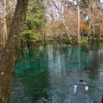 Photo by Ginnie Springs (@GinnieSprings)