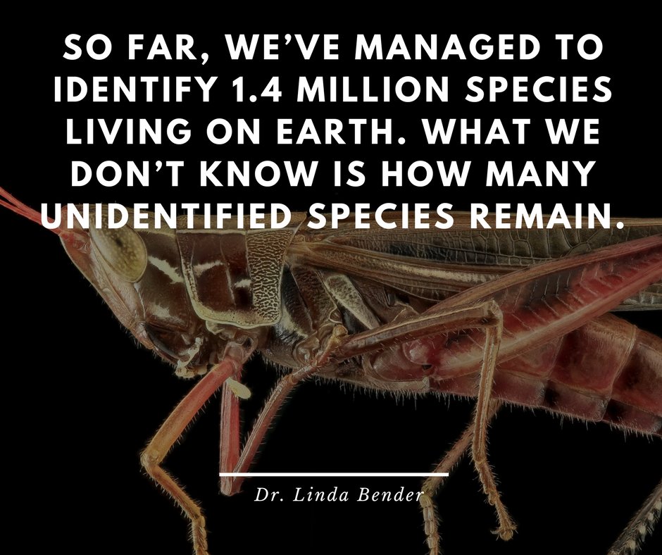 #loveanimals #animallovers #animalwisdom