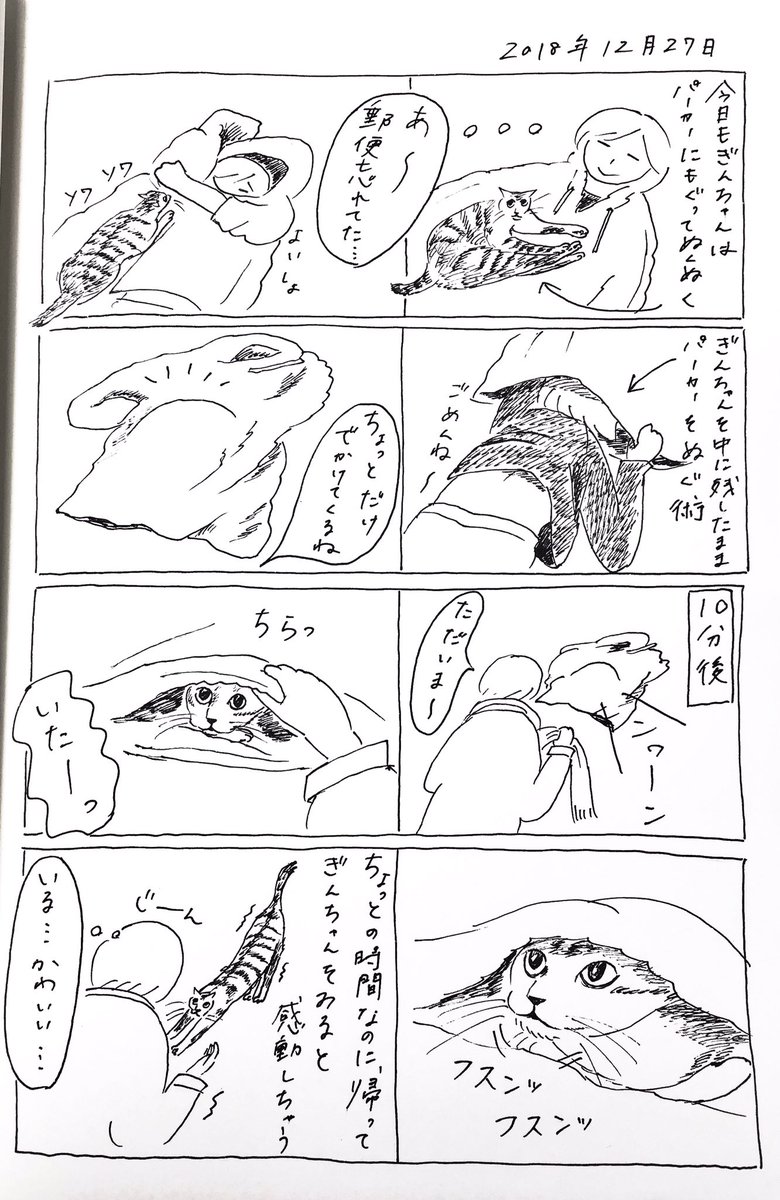 2018/12/27のぎんちゃん  #今日のぎんちゃん 
