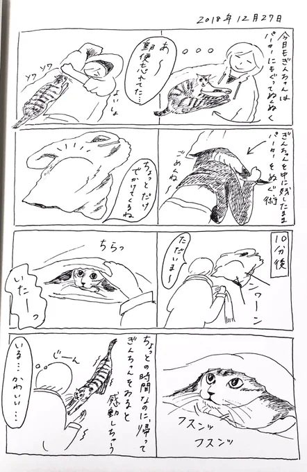 2018/12/27のぎんちゃん  #今日のぎんちゃん 