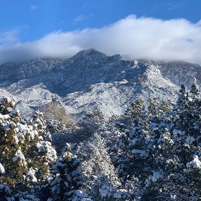 scholardesign's tweet photo. Love those snowy Sandias. Winter in Albuquerque.
.
.
.
.
.
.
.
.
.
.
.
#sandiamountains#sandias#snowdustedmountains#mountains#albuquerque#newmexico#snow#winterwonderland https://t.co/B2rAvMQl0L https://t.co/WUtdQCAa6A