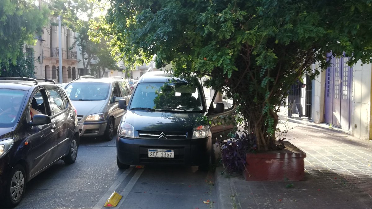 Dr. Raúl tweet media