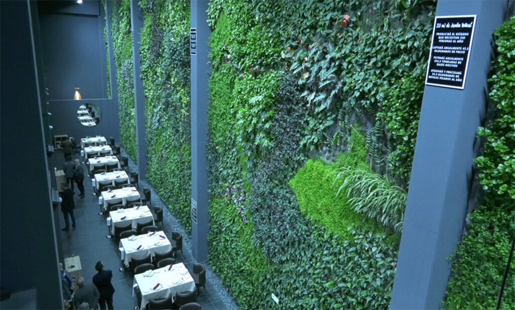 guiaverdecom's tweet photo. 🌿🌱 Ignacio Solano diseña el jardín vertical interior más grande de Europa y lo hace en Alcorcón.
📌 13.000 #plantas de 30 especies en casi 350 metros cuadrados
🔸 Toda la info en el link 👉 https://t.co/p6xx72ArVh #jardínvertical #IgnacioSolano #Alcorcón https://t.co/XWPriDPTgx