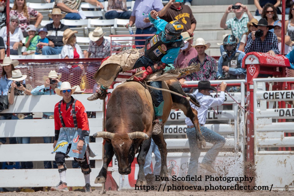 USArurallife's tweet photo. #throwbackthursday Cheyenne @PRCA_ProRodeo event 2018.
photo Eva Scofield Photography
@Wrangler @WranglerNetwork @BevBuckle @smithprollc
https://t.co/tZAOkjbNFE
#Wrangler #BevBuckle #RealTimePainRelief #SmithPROLLC #prorodeo #PRCA #Cheyenne #bullriding https://t.co/yFJND1iS84