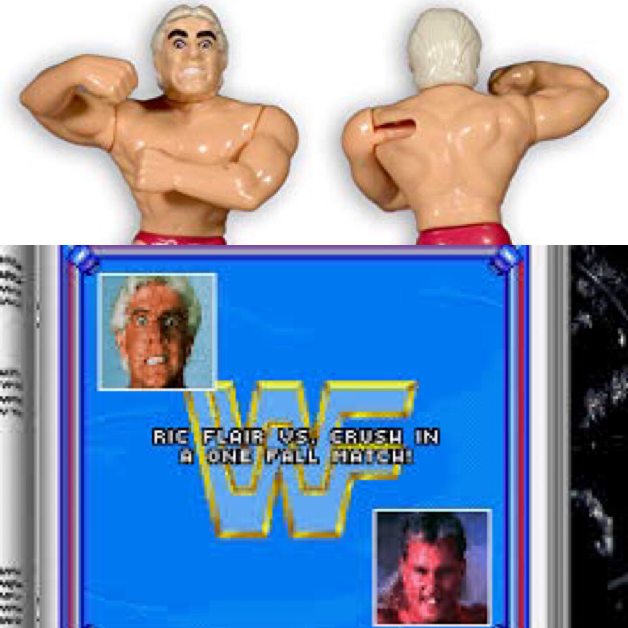 Ric 2024 flair hasbro