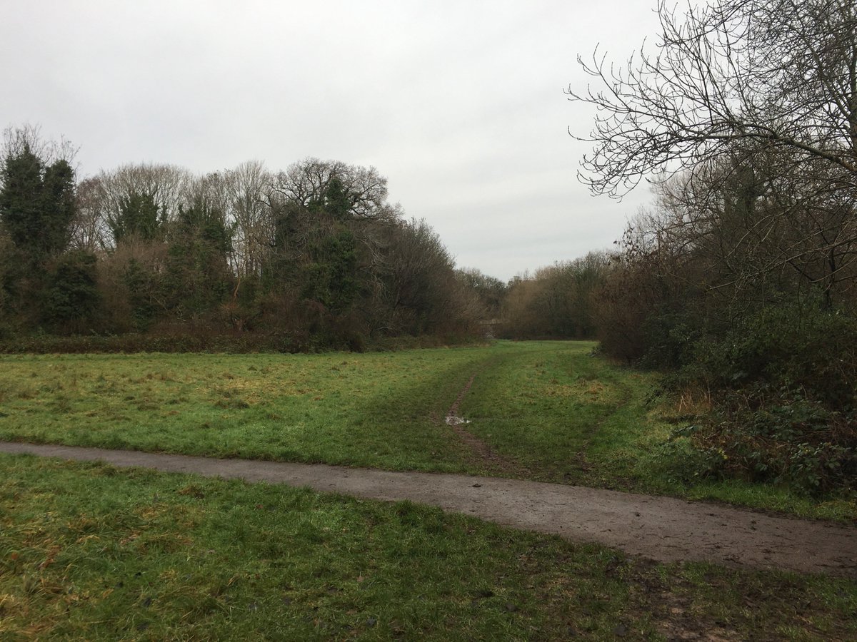 Justice4Cotham's tweet photo. Much talk from lobbyists of the lack of other green space near Stoke Lodge. What about the Trym Valley? Open grassed areas, dog bins and wooded paths just 200m from Stoke Lodge. And on the Sunday morning @Justice4Cotham visited, not a dog in sight! @BristolCouncil @BristolLive https://t.co/VQxu4FMdwt