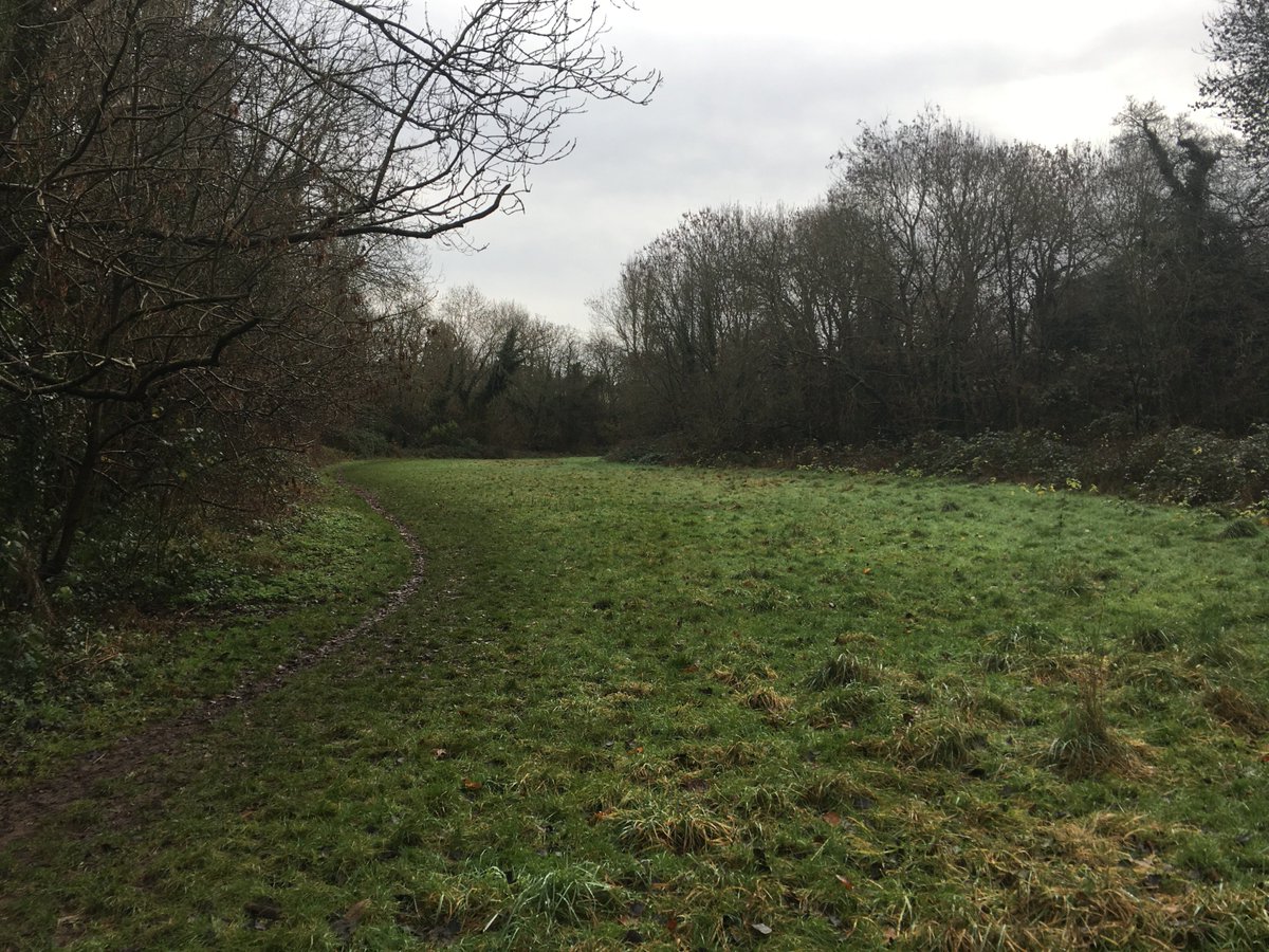 Justice4Cotham's tweet photo. Much talk from lobbyists of the lack of other green space near Stoke Lodge. What about the Trym Valley? Open grassed areas, dog bins and wooded paths just 200m from Stoke Lodge. And on the Sunday morning @Justice4Cotham visited, not a dog in sight! @BristolCouncil @BristolLive https://t.co/VQxu4FMdwt