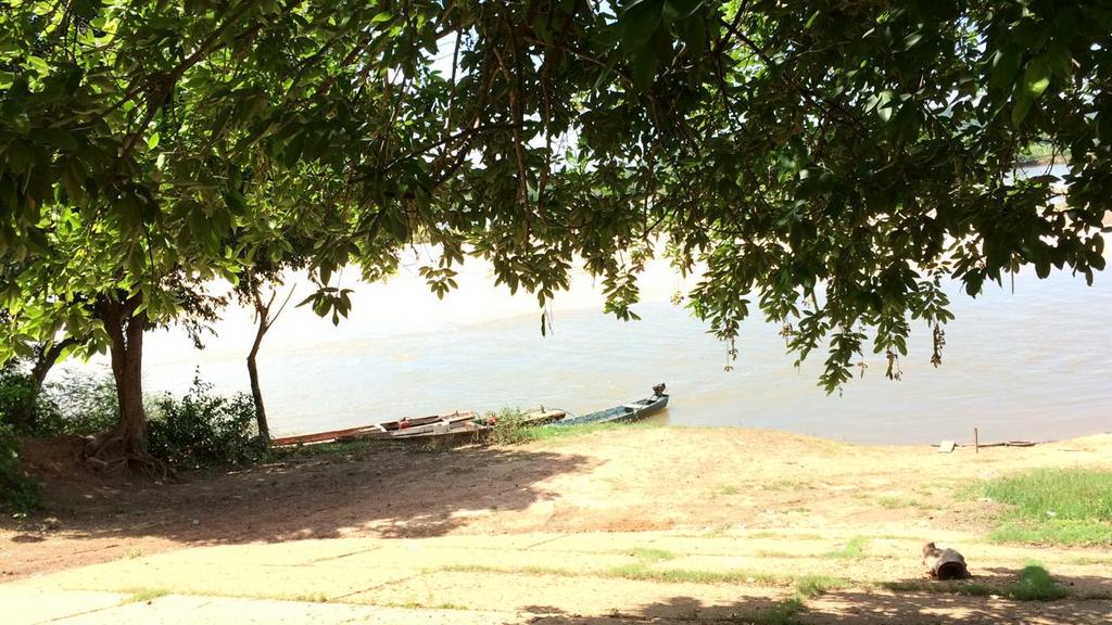 antoniodborges7's tweet photo. Boa Tarde ! https://t.co/CkdzXfR6Zr