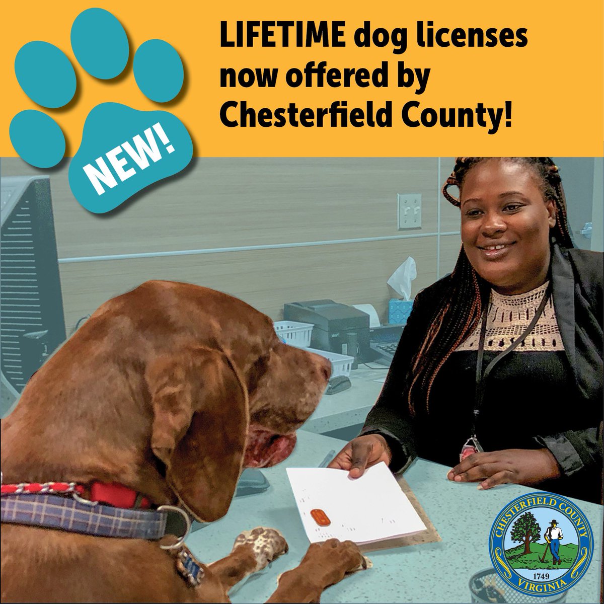 Have you gotten your lifetime dog license yet? They're available for only $10, and you can forget about annual renewals. Licenses are valid for the life of the dog, as long as the rabies vaccination is kept up-to-date and the owner resides in #Cfield. chesterfield.gov/doglicense