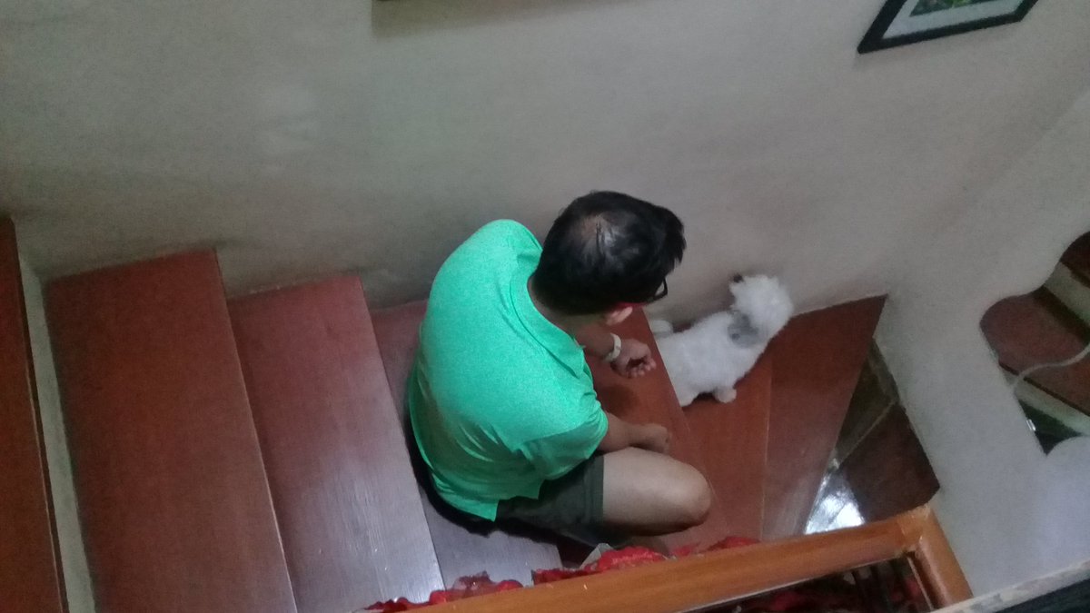 Dad before: Ay nako dont let the dog stay inside! She's gonna ruin the furniture!
Dad now: *teaching her to climb the stairs*