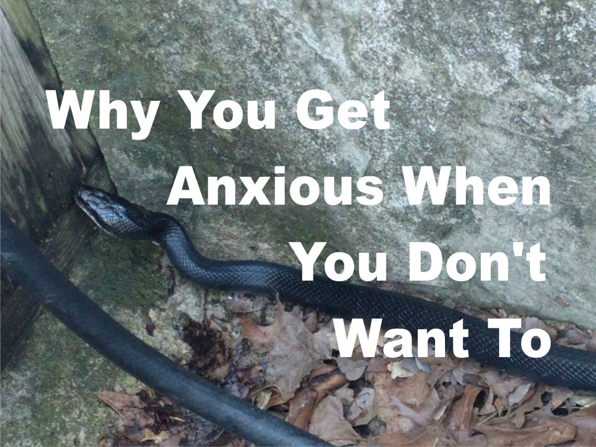 ExcelAtLife's tweet image. New article!
Why You Get Anxious When You Don't Want To
 
Have you ever felt anxiety symptoms even when you really weren't fearful of something? Your heart started pounding for no reason?

Read article: excelatlife.com/articles/anxie…
