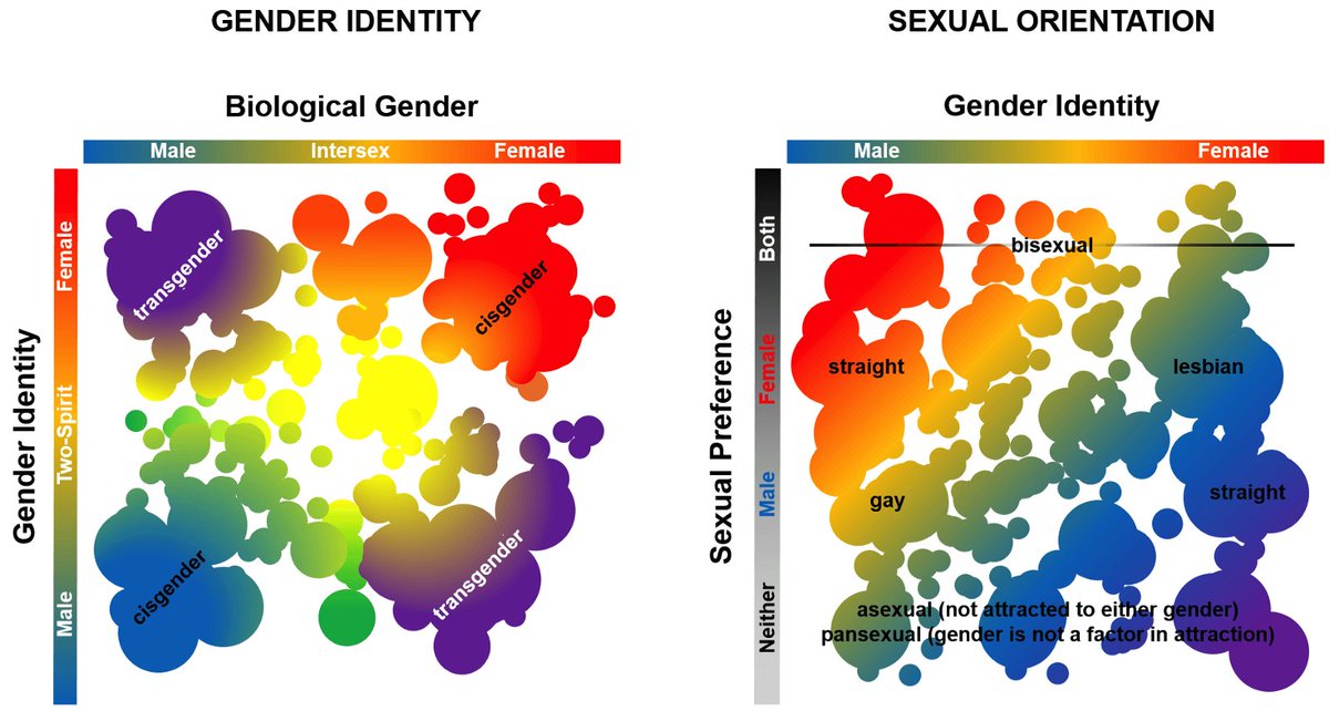 La identidad sexual es UNA ESCALA.(fuente de la imagen: «Between the (Gender) Lines: the Science of Transgender Identity» del blog Science in the News, Harvard)