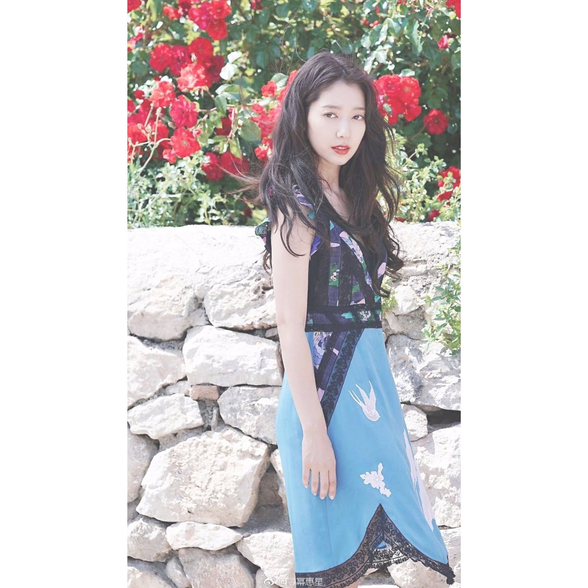 シネちゃん好きな人rt Twitter Search