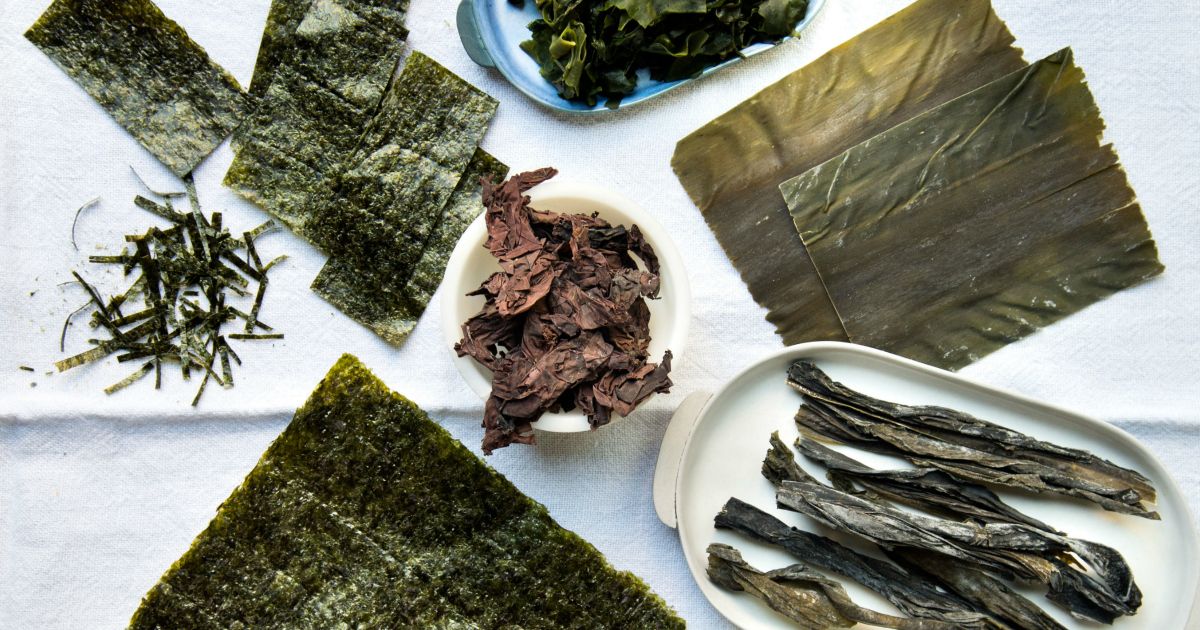 anibee_tv's tweet photo. Setelah Melahap Semua Makanan Berlemak saat Musim Libur, Mengapa kita tidak Beralih ke makanan Vegan yang Lebih Ringan? Berikut 10 makanan vegan khas Jepang yang bisa ditemukan di restoran Jepang https://t.co/g0WCrrwr43 https://t.co/OLpkteQUVC