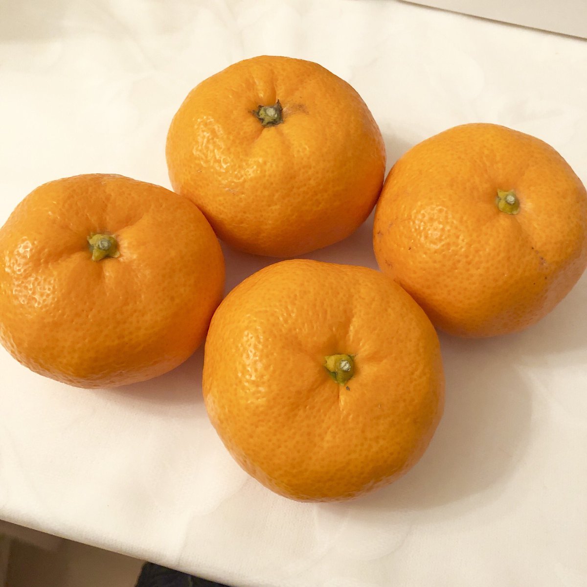 江川 清音 ウェザーニュースlive 実家から ここのみかん 美味しいの と送られてきたみかん達 一箱あるのですが どれもヘタが小さい 甘い訳です 番組で確かめましたが 本当に味が違ってびっくり 経験を積むほど甘くなる ヘタ が 江川 清音 ウェザーニュースlive 実家から ここのみかん 美味しいの と送られてきたみかん達 一箱あるのですが どれもヘタが小さい 甘い訳です 番組で確かめましたが 本当に味が違ってびっくり 経験を積むほど甘くなる ヘタ が