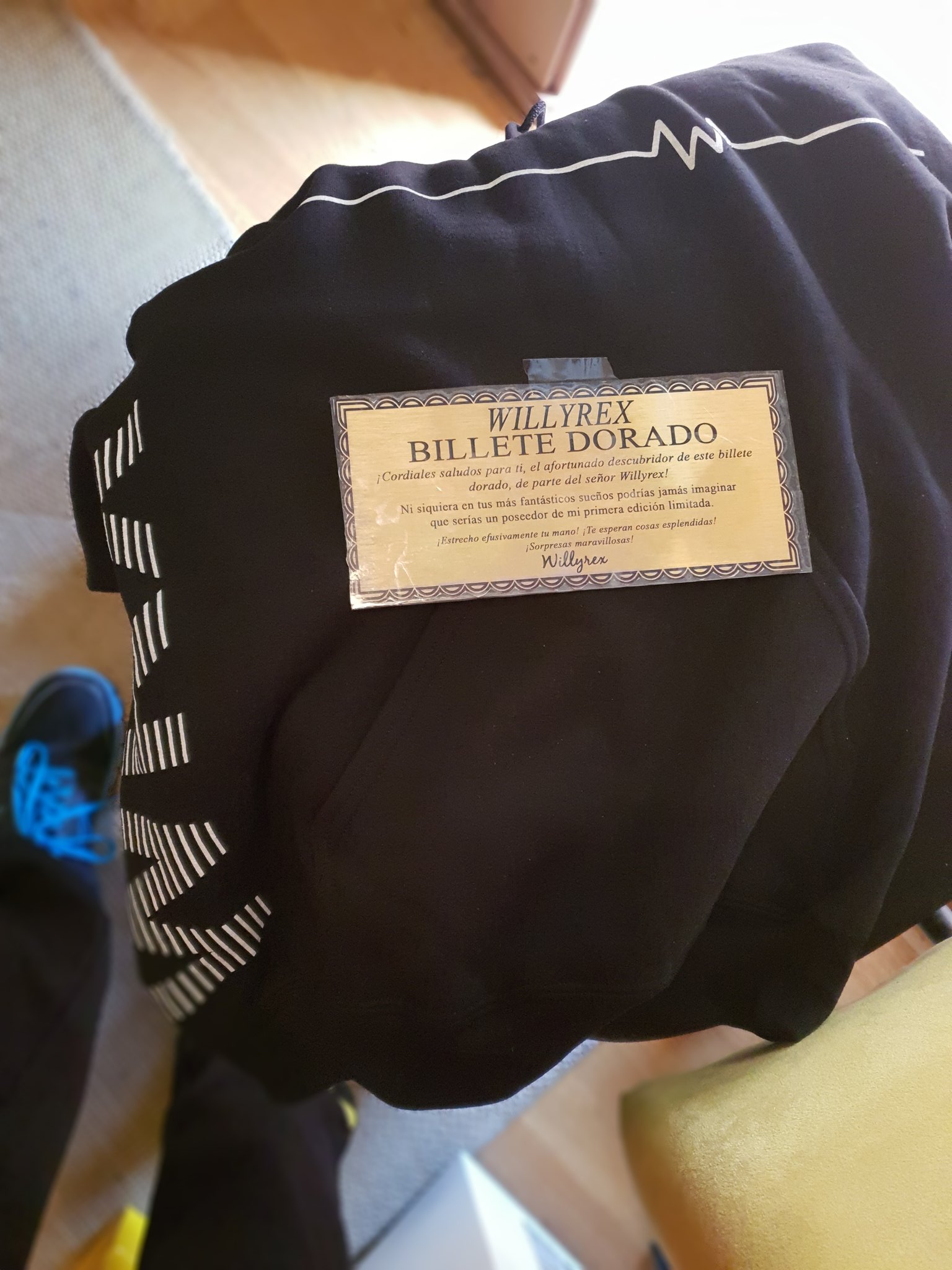 Sudadera de best sale willyrex