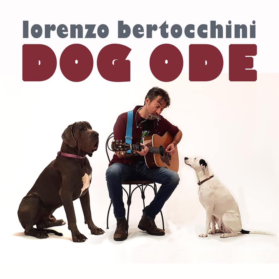 WishgateOnlus's tweet photo. 🐾DOG ODE🐾
😀 Un video da guardare; 
https://t.co/6h3hiHugJP
❤️ Una canzone da acquistare per donare;
https://t.co/ybluIcmHxM
🙌 Grazie Lorenzo Bertocchini per la tua sensibilità artistica e per averci coinvolti.
🐕 Una speciale iniziativa da ascoltare, guardare e condividere❤️ https://t.co/OqrNSp4koA