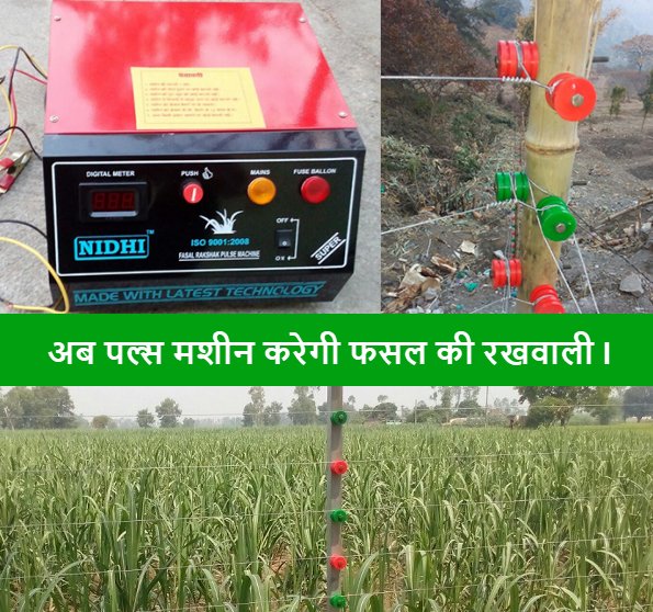 iffcokisan's tweet photo. @IFFCOKISAN फसल रक्षक पल्स मशीन फसलों की सुरक्षा करेगी -
अब किसानों को फसल की रखवाली के लिए रातभर जागने की मजबूरी नहीं रहेगी। न ही फसलको जंगली जानवर नुकसान पहुंचा सकेंगे।
Join us on Facebook @ https://t.co/NGPVRHVK7d
#IFFCO #IFFCOKisan #IFFCOKISANMOBILEAPP
#PulseMachine #Krishi https://t.co/68QSt1uajK