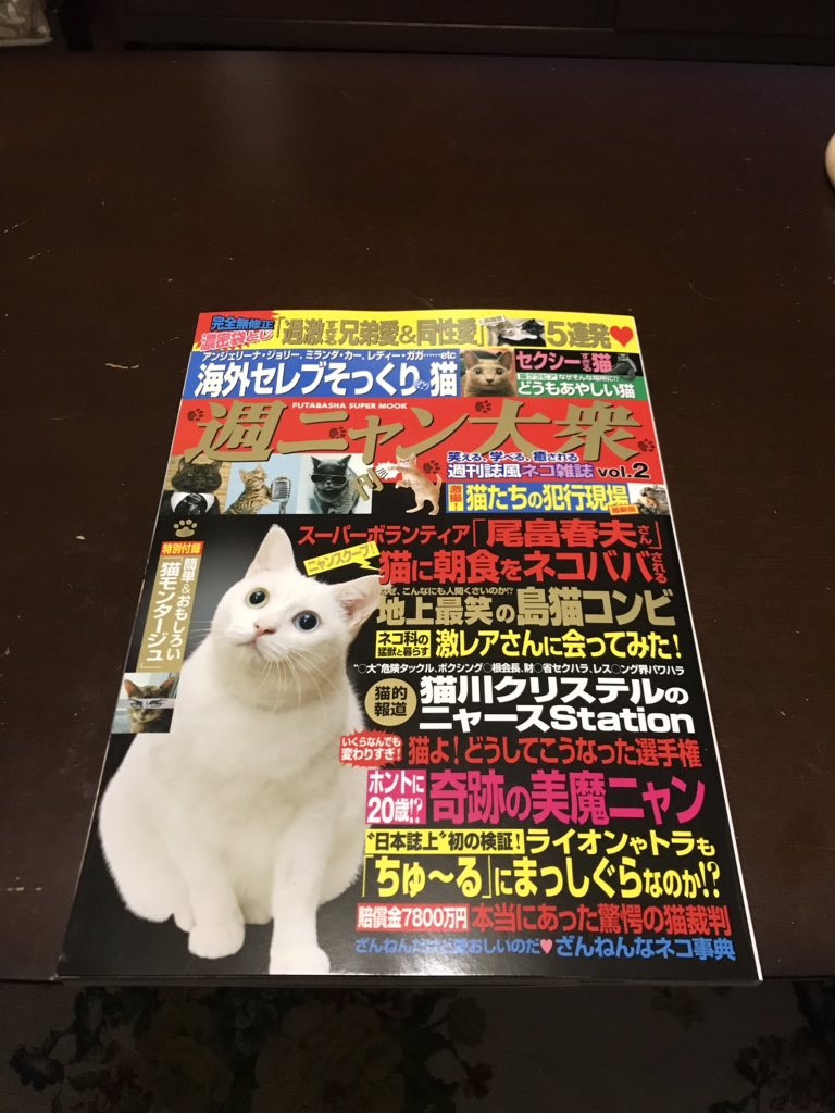 X5Uxxb's tweet photo. 週ニャン大衆の方に猫界の渡辺直美と表現されたので明日からは「ニャオ美」と改名したく存じます！
ウソです、華やかな華ちゃんです。🤣🤣🤣🤣🤣🤣🤣
本日も沢山の♥️やRT、コメントを有難うございました。皆様に感謝❣️感謝❣️感謝❣️でございます。😊👍✨🍀💕
おやすみなさいませ。😴💤
#パクツイ禁止 https://t.co/aqA0WvHZo1
