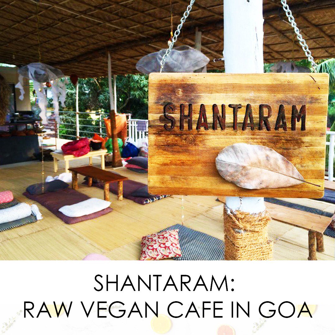 veganfirstdaily's tweet photo. Planning an escape to Goa? Add Shantaram to your list of must-try places to visit! This raw vegan cafe offers a healthy range of foods that are going to give your body the much needed TLC it needs.

#shantaramraw #goa #veganfood #vegancafe #goacafe #veganfirst https://t.co/u3WwRbOZdR