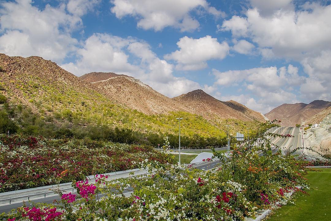 hisn_kalba's tweet photo. .
روعة الطبيعة الخلّابة في #وادي_الحلو ❤
.
Wadi al Helo, a picture-perfect place ❤
📷: @saudszamzam
.
#Sharjah #VisitSharjah #WadiAlHelo #SharjahLife #UAE #LoveShj #Tourism #Entertainment #Vacation #Travel
#الشارقة #زوروا_الشارقة #الإمارات #سياحة #ترفيه https://t.co/Ne8pUqx66I