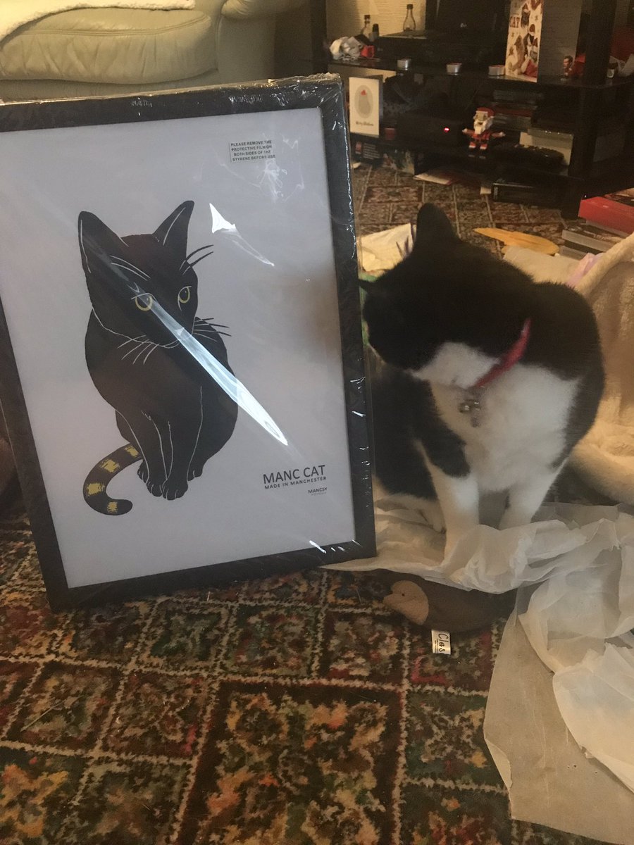 MiniTwirl's tweet photo. Got a wonderful surprise of my little girl @RaspberryMT for Christmas an @RealMancsy Manc Cat (with a little help from her daddy @hereshoges credit card) to say I’m well made up is an understatement and I can see Raspberry approves too 😻💗💕💗😻🎅🏻🎄🎅🏻 🐝 https://t.co/lUSWlgMVdQ
