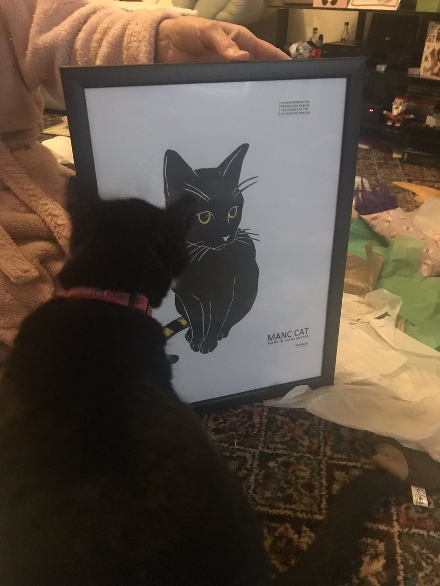 MiniTwirl's tweet photo. Got a wonderful surprise of my little girl @RaspberryMT for Christmas an @RealMancsy Manc Cat (with a little help from her daddy @hereshoges credit card) to say I’m well made up is an understatement and I can see Raspberry approves too 😻💗💕💗😻🎅🏻🎄🎅🏻 🐝 https://t.co/lUSWlgMVdQ
