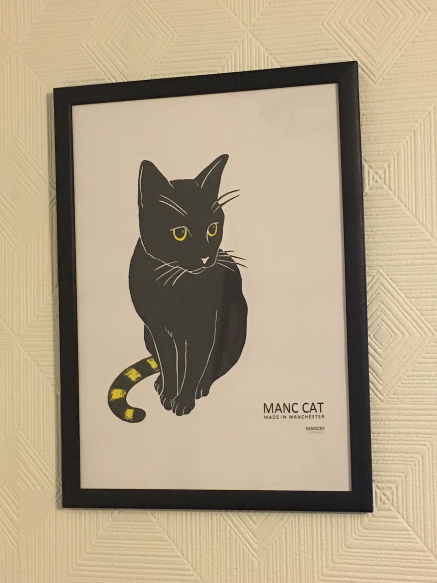 MiniTwirl's tweet photo. Got a wonderful surprise of my little girl @RaspberryMT for Christmas an @RealMancsy Manc Cat (with a little help from her daddy @hereshoges credit card) to say I’m well made up is an understatement and I can see Raspberry approves too 😻💗💕💗😻🎅🏻🎄🎅🏻 🐝 https://t.co/lUSWlgMVdQ