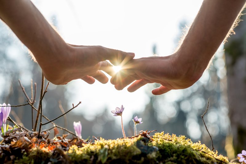 TraditionalMe10's tweet photo. ‘There’s more to us than just the physical’: What is energy healing and does it work?
Don't forget to visit: https://t.co/9pn03CT051 
#traditionalmedicine #herbalmedicine #traditionalmedicineconference #herbalmedicineconference #Sweden https://t.co/SkdycFUYrn