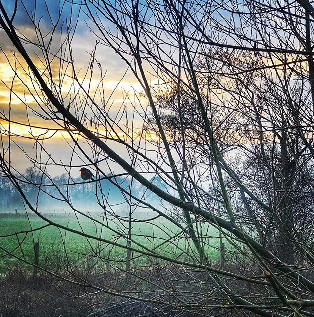 weekitchen's tweet photo. contemplating my #onelittleword2019
#northernireland
#discoverni
#winterscene
#ireland
#christmasinireland
#irishwinter https://t.co/bMdizYYUWA https://t.co/IjNziRk9ya