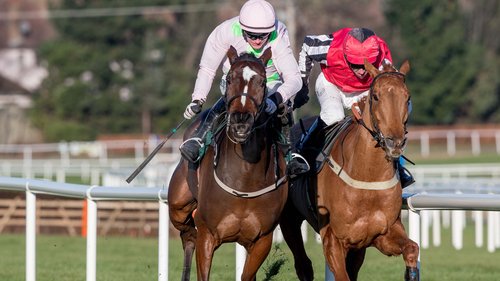 DaveStevos's tweet photo. #GiddyUp What a horse #SimplyNed is, he comes alive @LeopardstownRC he is an absolute legend. NB e/w bet landed advised at odds of 16/1. Unreal ride by Mark Walsh #QuidsIn Check my remaining #FreeTips here... https://t.co/pSzvOB9maY … https://t.co/3kzHUjLbTQ