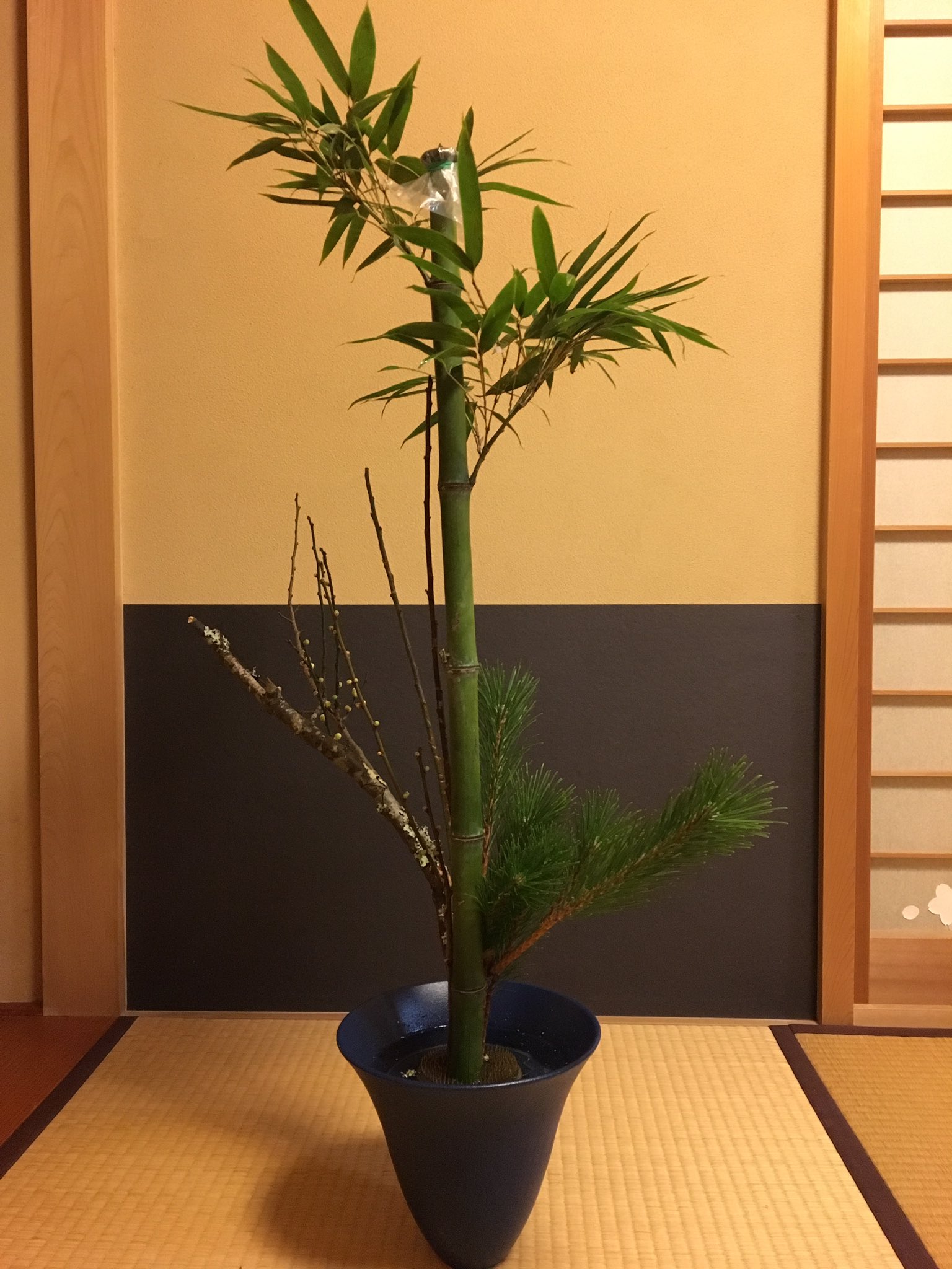 正月の花 Twitter Search Twitter