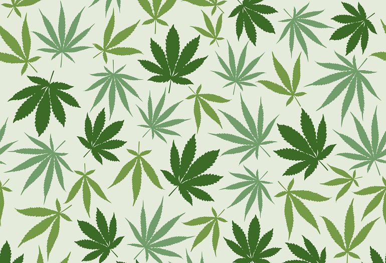 WK_Italia's tweet photo. Legittimo il sequestro della #cannabis “light”
#stupefacenti
https://t.co/UdKcgusS3K https://t.co/vxbgubza1h