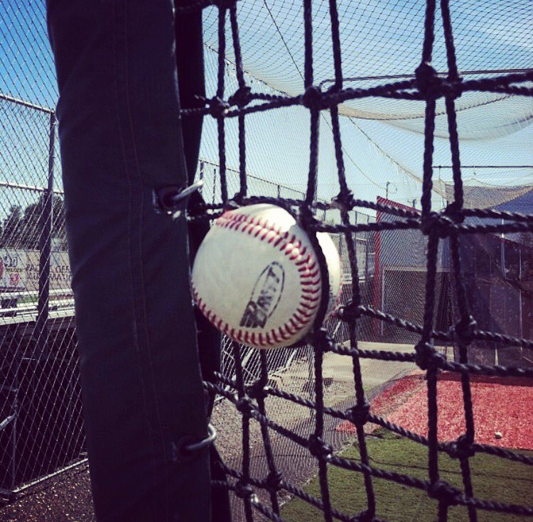 thevalleshield's tweet image. Ever had this happen? You never know when the ball will break through your net and potentially be dangerous. With the Valle Shield, you don’t have to worry about it. #redefiningsafety #valleshield #lscreen #replaceyourscreen #batting #battingcages #battingpractice  #baseball