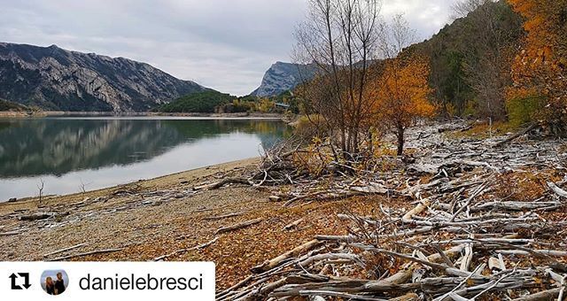 BaroniaRialb's tweet photo. Dies de Nadal, dies de retrobament amb la família, dies d'hivern en llocs idíl·lics, dies de refugi formidable..
🎄🌠🥂🍂🏞🐌⛄🌞
#SegreRialb #BaroniadeRialb #RiberadelSegre #refugiformidable https://t.co/EkoKsYLpwv https://t.co/Lwdif4LrCw