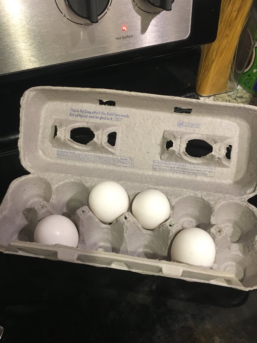 not_so_gratian's tweet photo. #eggweight https://t.co/YuuT5KtXAb