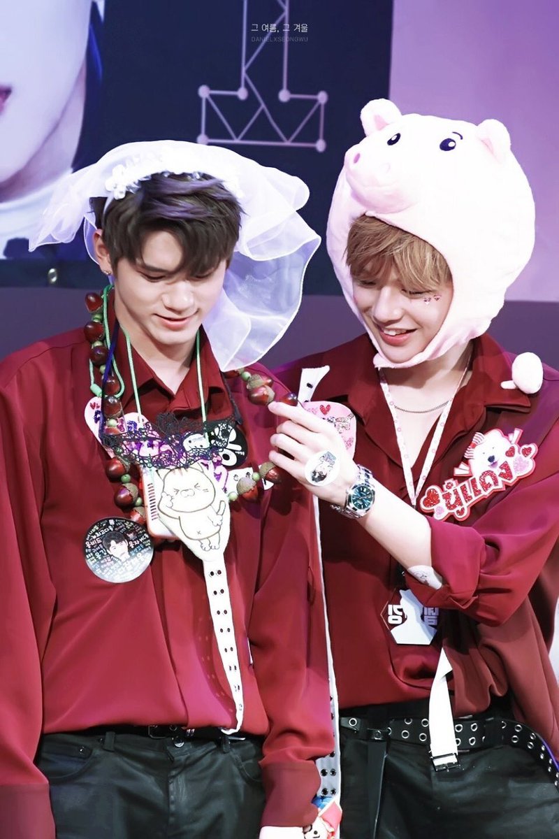 nicha_onge's tweet photo. Until we meet again 🐶🐱💜🧡

See you on 26 Jan 19 🍑✨

#강다니엘 #옹성우 #NielOng #เนียลอง #넬옹 https://t.co/yfuGHR84js