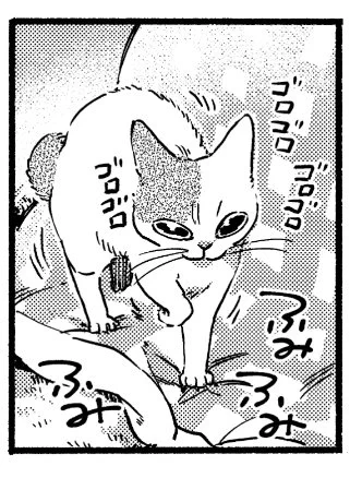 本日27日発売の週刊漫画TIMES(1/11-18合併号)に『ねこだまり』掲載されています。今年最後ですね。お炬燵と猫です。よろしくお願いします🐈 