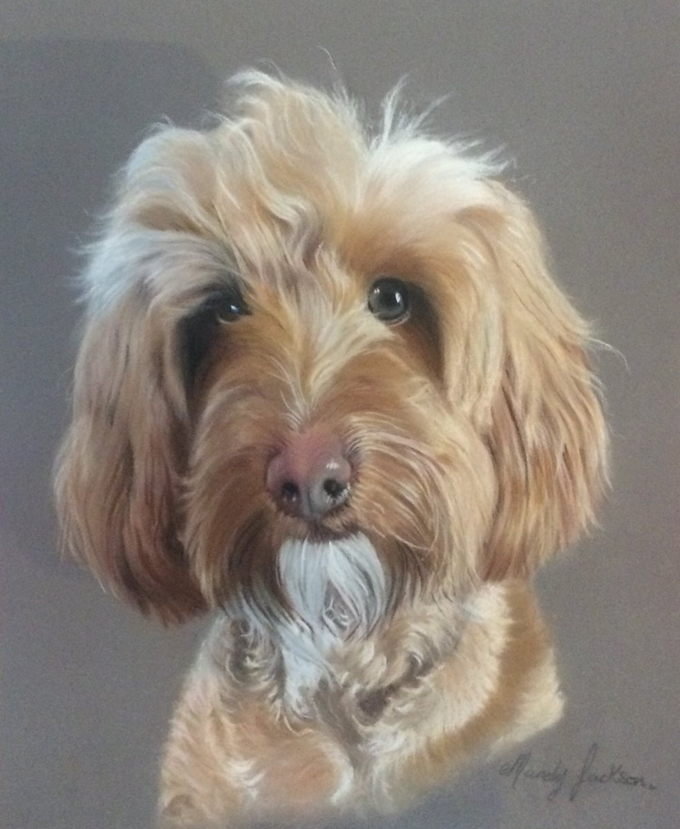 magichand9's tweet photo. “ Ralph “ #cockapoo art #artist #drawing #pencilart #pastel #medium #artistsoninstagram #portrait #artwork #animals #instaart #ArtistOnTwitter #DogsofTwitter https://t.co/hZmRHKH4x4