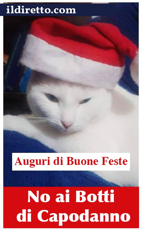 Auguri di #BuoneFeste da ildiretto.com #BuonAnno #NoAiBotti
