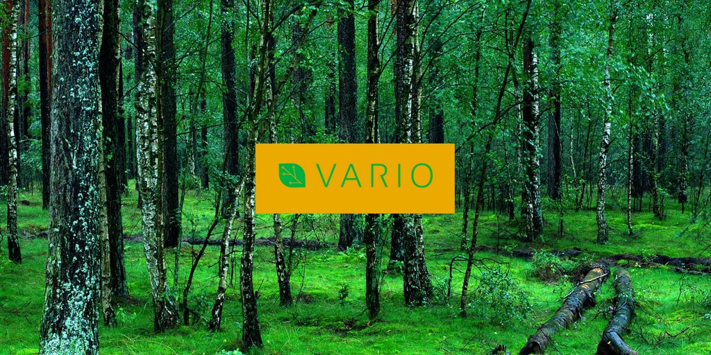 Each week we will highlight a coin we have our eye on and give a quick overview of why we think it is a high potential project. Watch our space here to know our #crypto recommendations variomining.io/#our-blog #MineWithVARIO #digitalmining #digitalcurrency #blockchain