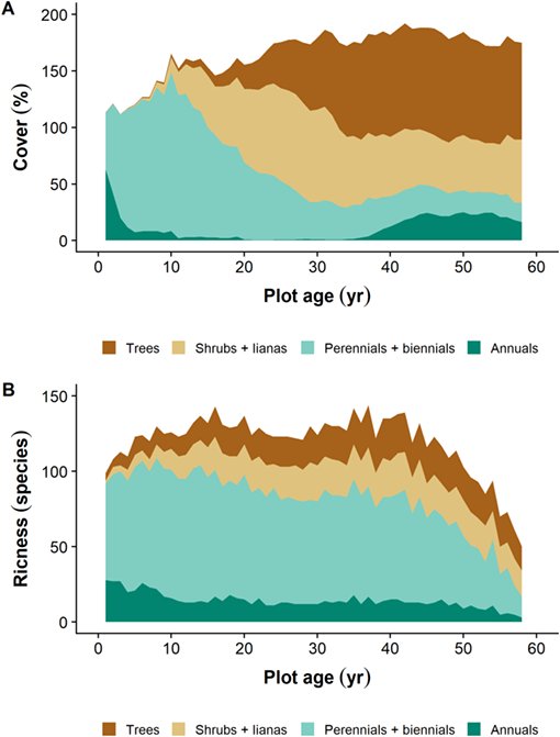 ESAEcology's tweet photo. #New in @ESAEcology
#Fineroot #traits are linked to #speciesdynamics in a #successional #plant #community
#root #nitrogen #invasive #successionaldynamics #BuellSmall #forest #FineRootEcologyDatabase
https://t.co/Tg5Ej247jr https://t.co/MIt1qcPaWV